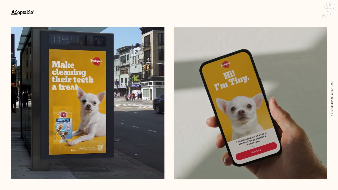 Adoptable – Pedigree